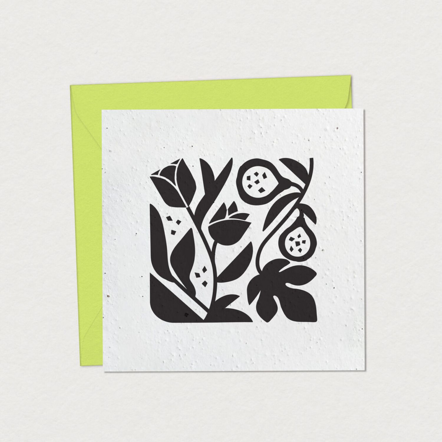 Mimosa - Carte de Souhaits à Planter - Rose