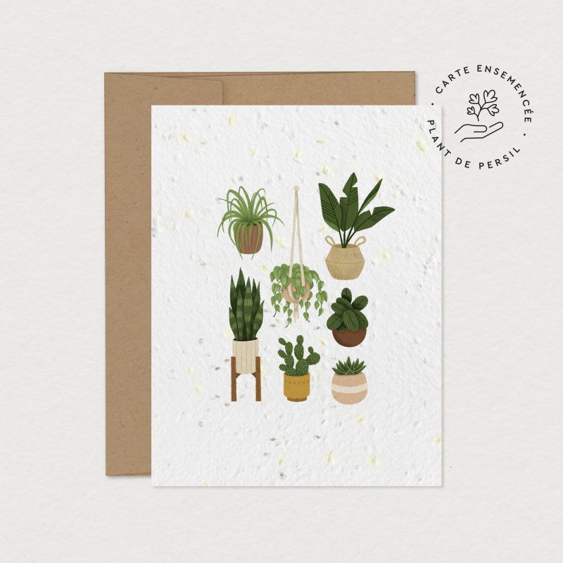 Mimosa - Carte de Souhaits à Planter - Pouce vert