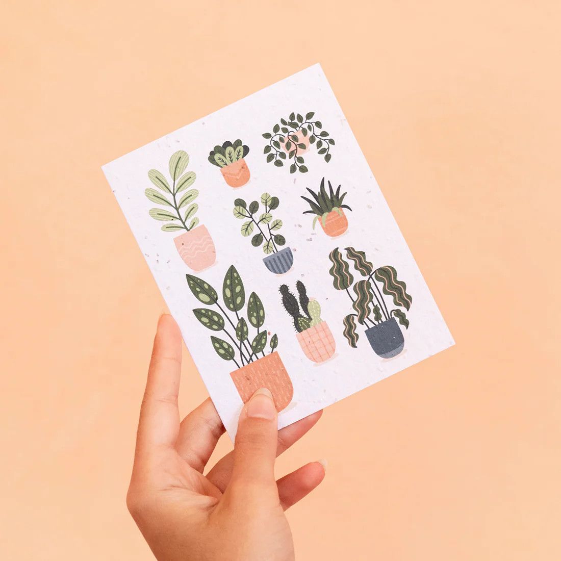 Plantable Card - Indoor Plants