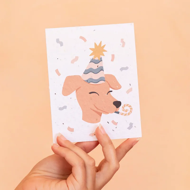 Plantable Card - Birthday