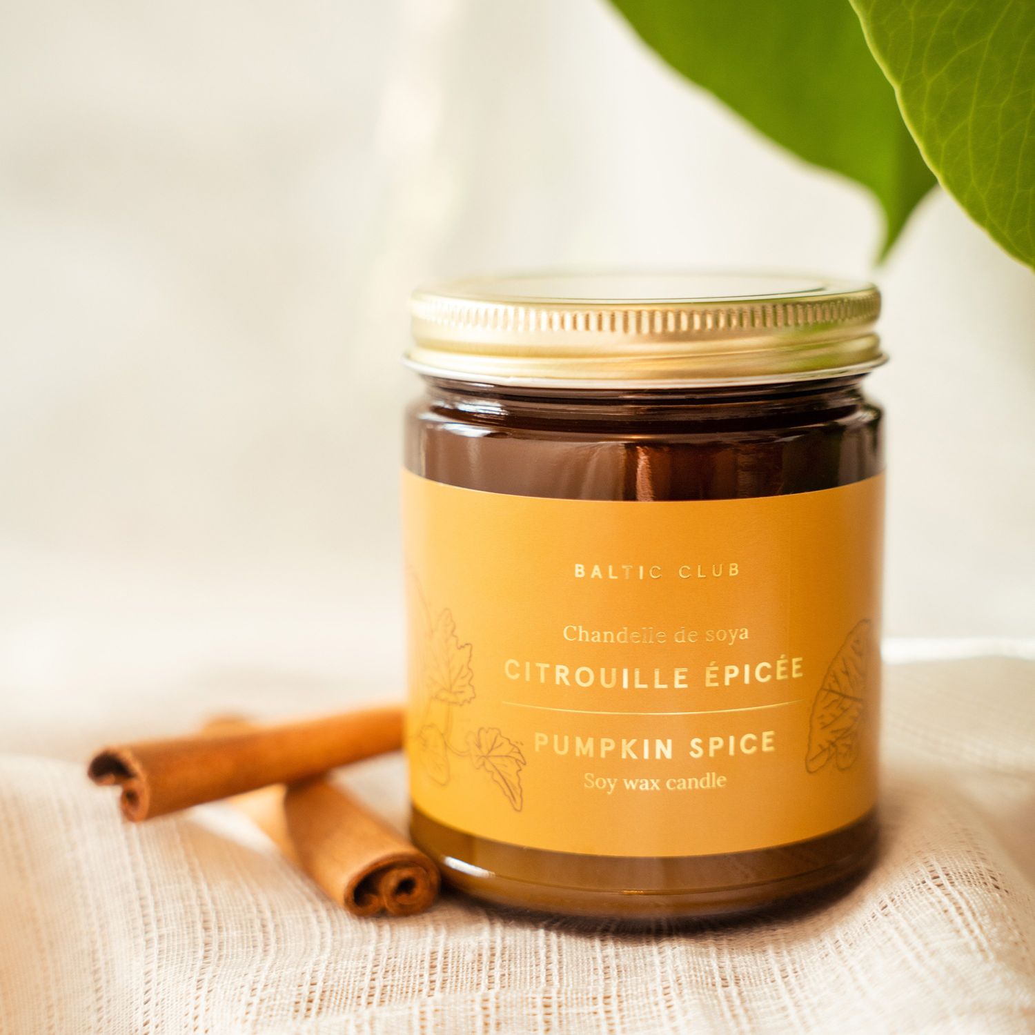 Baltic Club - Soy Candle - Pumpkin Spice