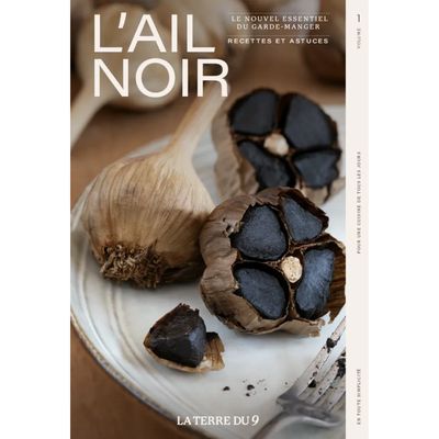 La Terre du 9 - Livre L&#39;ail Noir