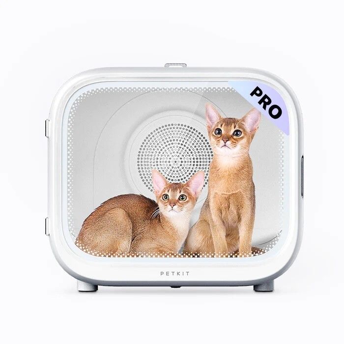AIRSALON MAX PRO [O₃] - à partir de €196,33 par mois*.