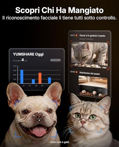 YUM SHARE DUAL - HOPPER 2 — immagine 6