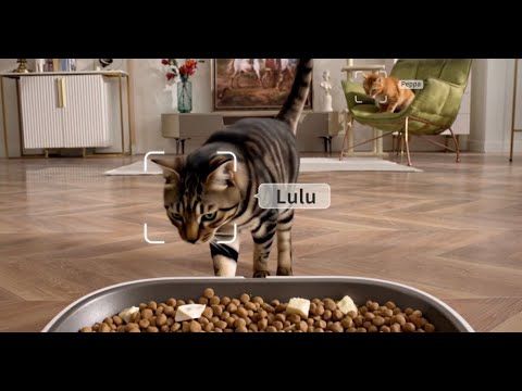YUM SHARE DUAL - HOPPER 2 — immagine 12