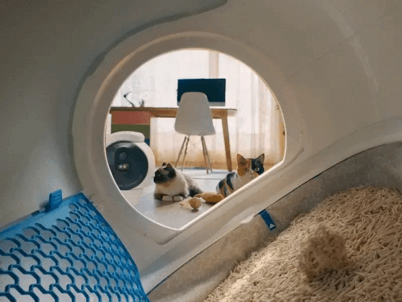 PUROBOT ULTRA con IA — immagine 8