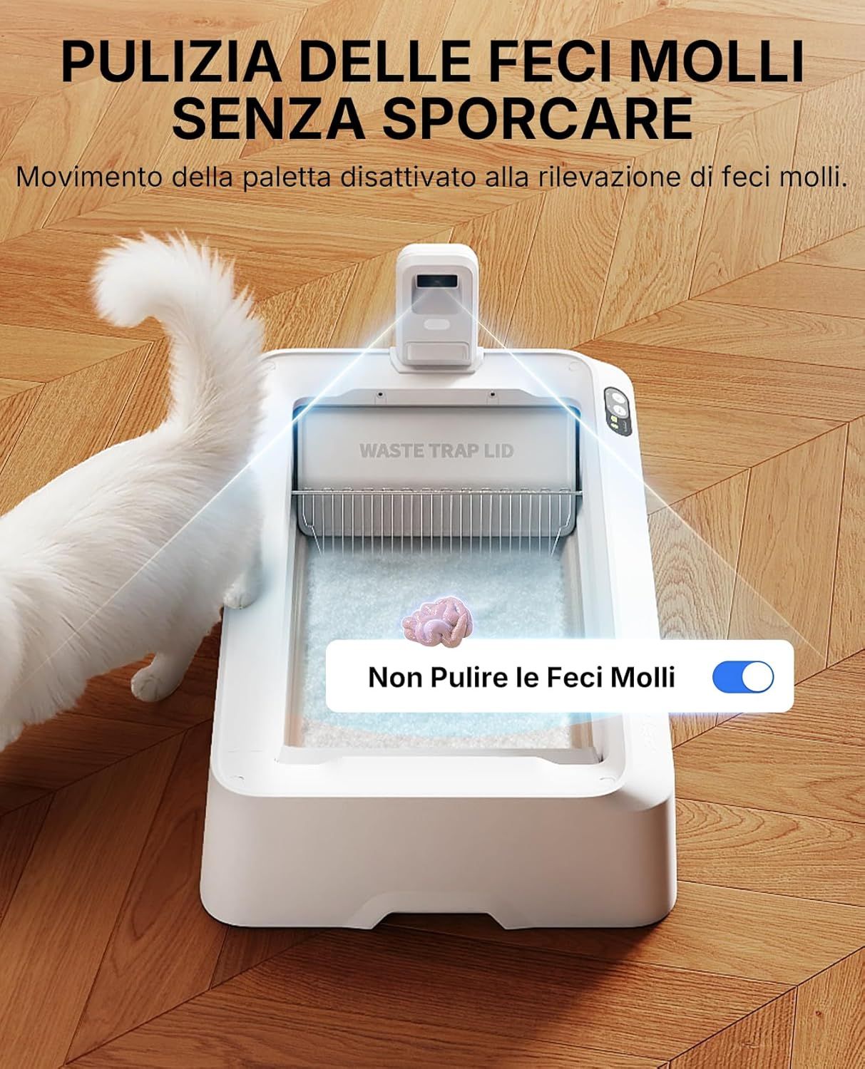 PUROBOT CRYSTAL DUO con IA — immagine 6