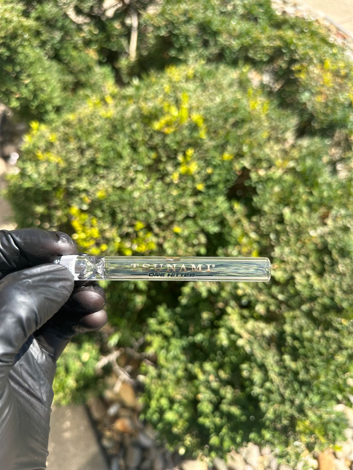 Tsunami Glass One Hitter
