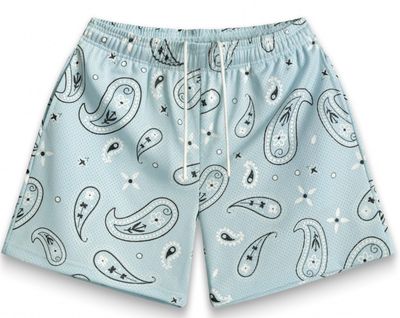 Bravest Studios &#39;Paisley V3&#39; Shorts Sky