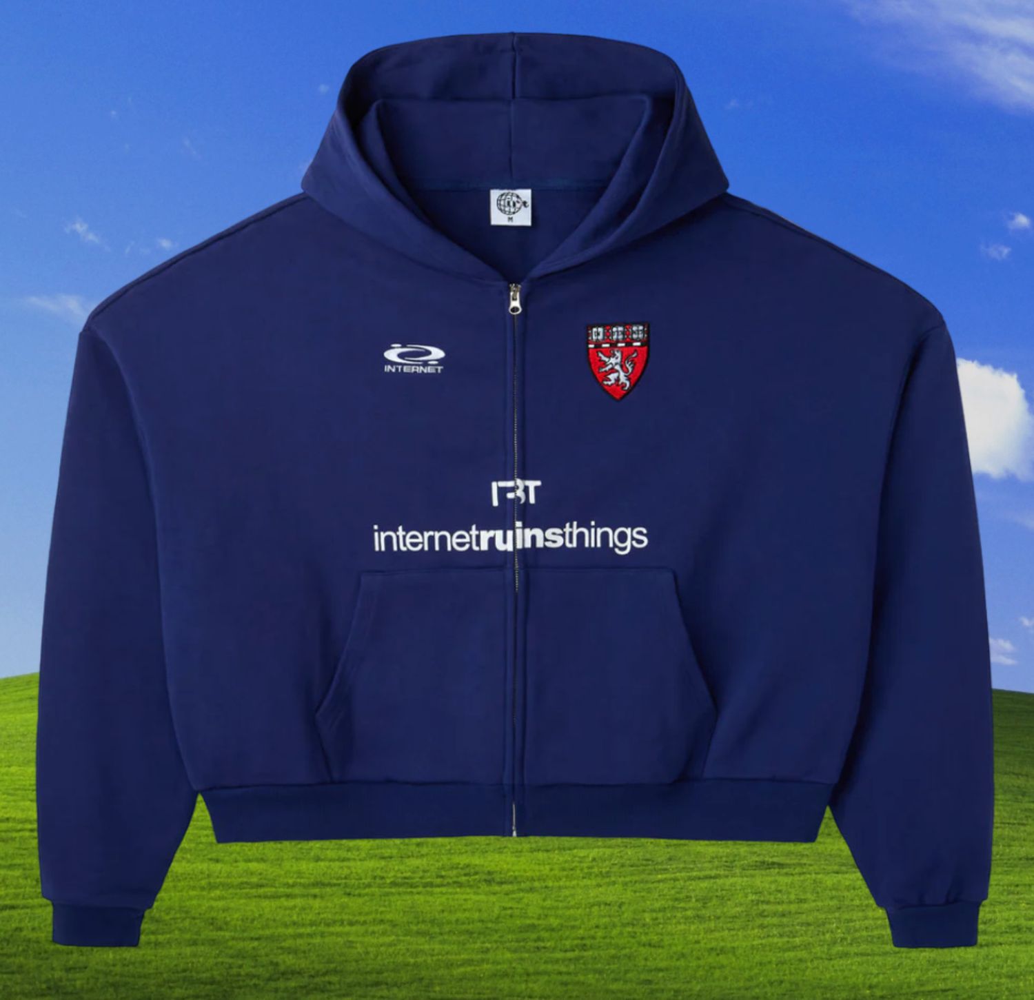 Internet Ruins Things &#39;Data&#39; Zip Up Hoodie Blue