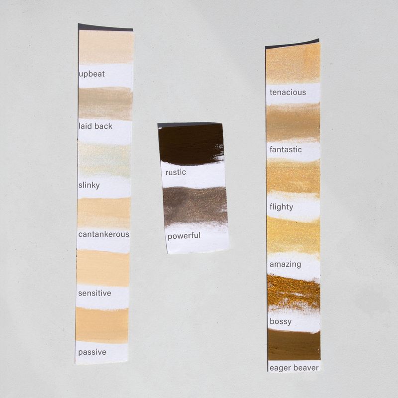 Sunny Energy 42 Shadows