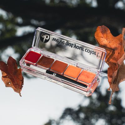 My Custom Blend Lip Palette