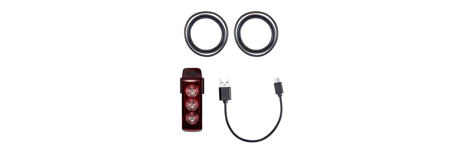Flux 250R Taillight