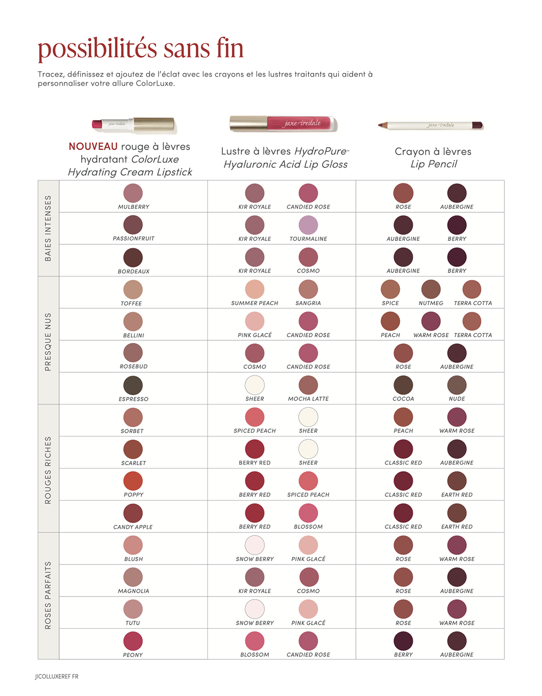 Jane Iredale ColorLuxe Endless Possibilities Chart - FRENCH
