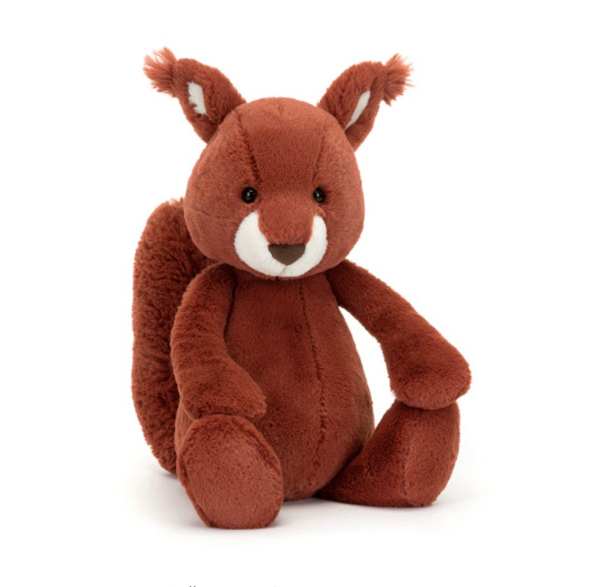 Bashful Squirrel , Size: Original