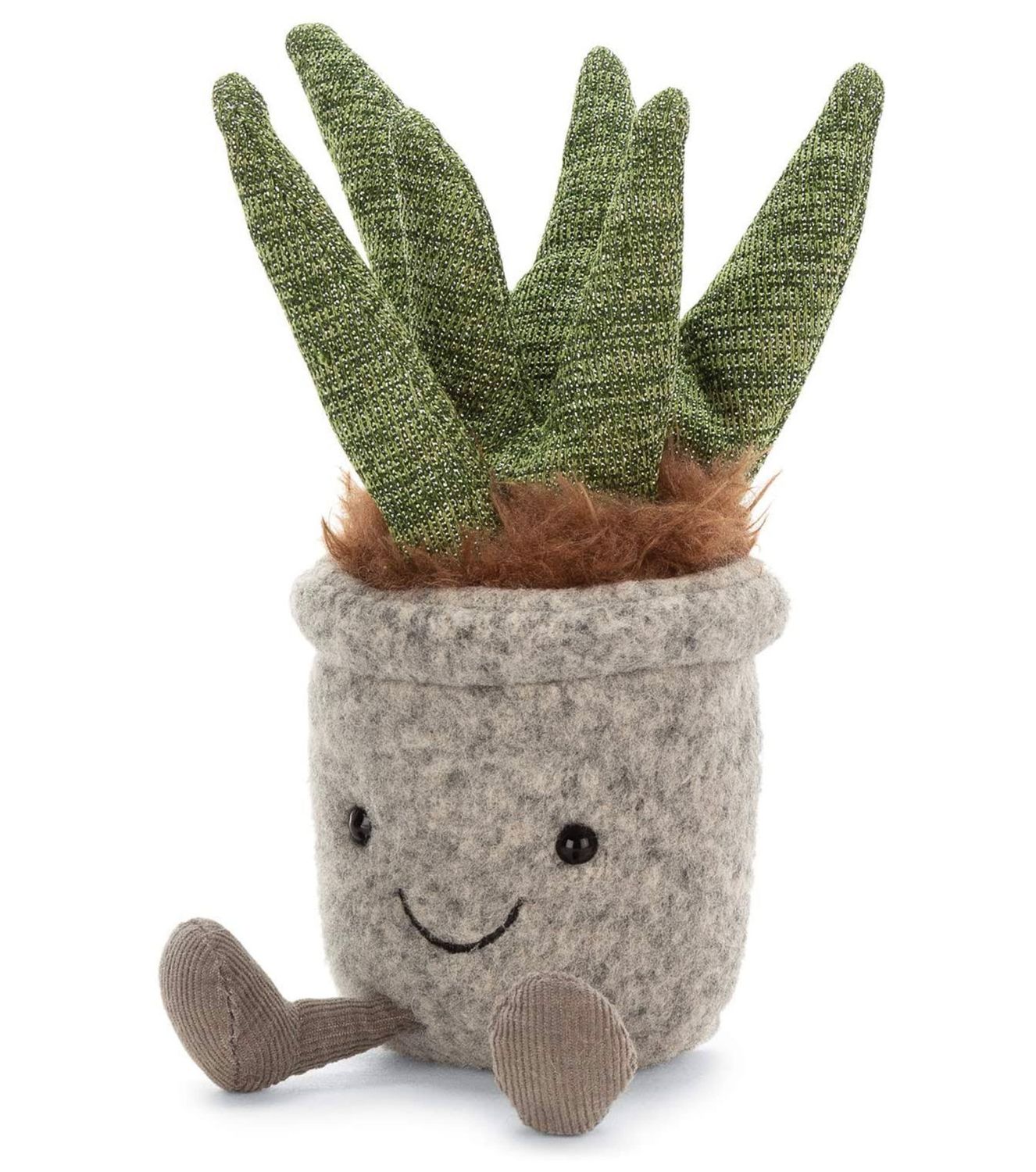 Silly Succulent Aloe