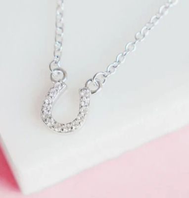 Lil&#39; Bit of Luck Horseshoe Necklace