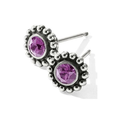 Twinkle Mini Post Earrings Amethyst