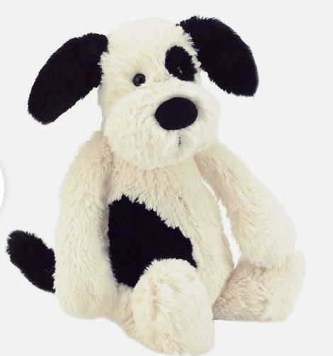 Large Bashful Puppy