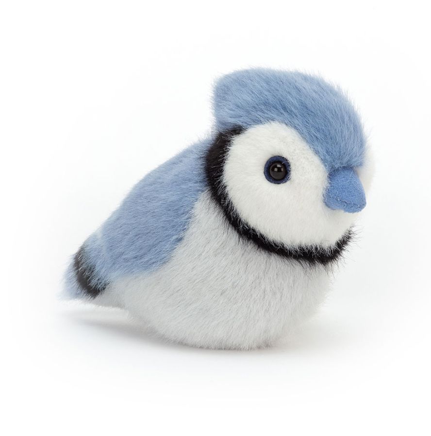 I Am Birdling Blue Jay
