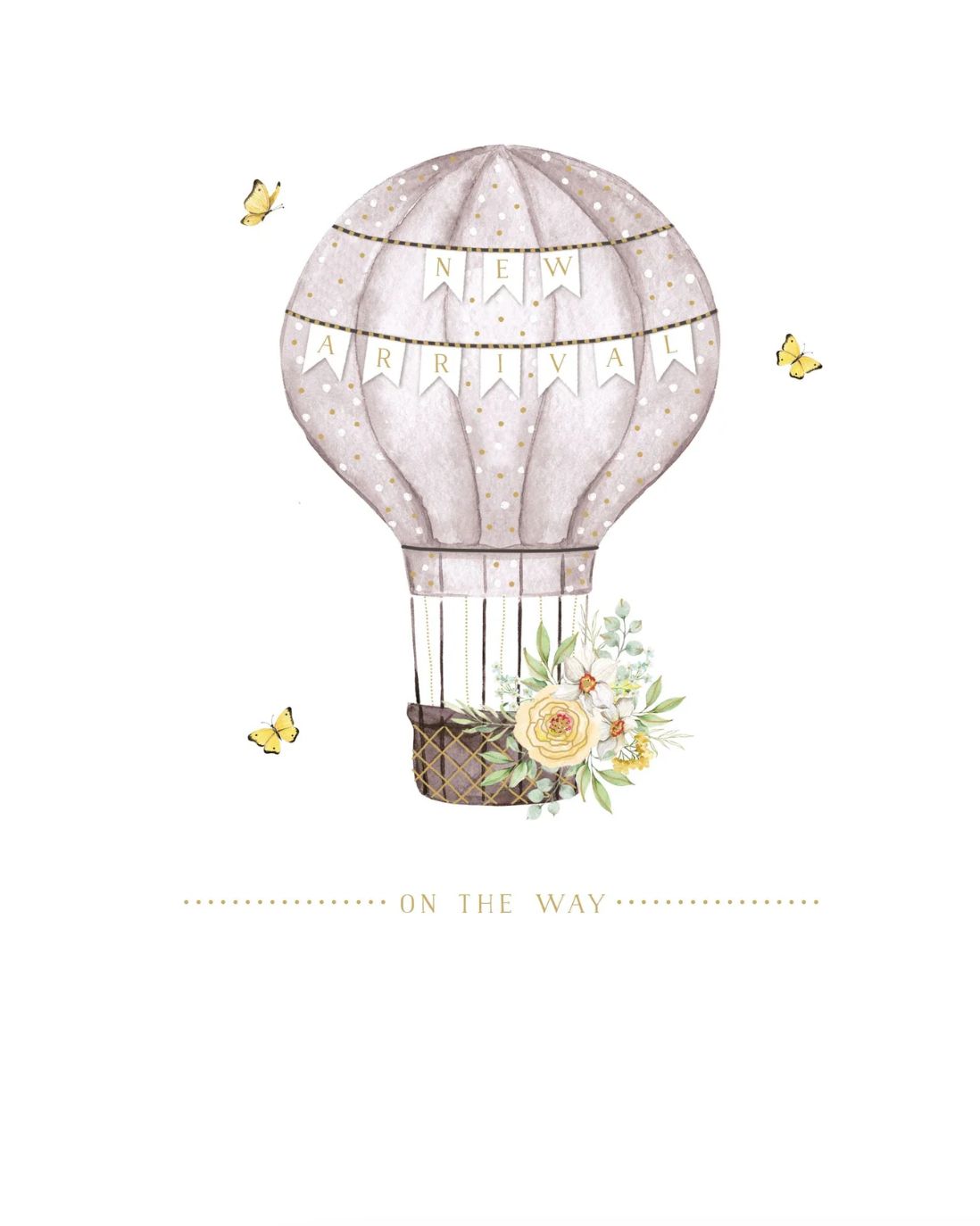On The Way New Baby