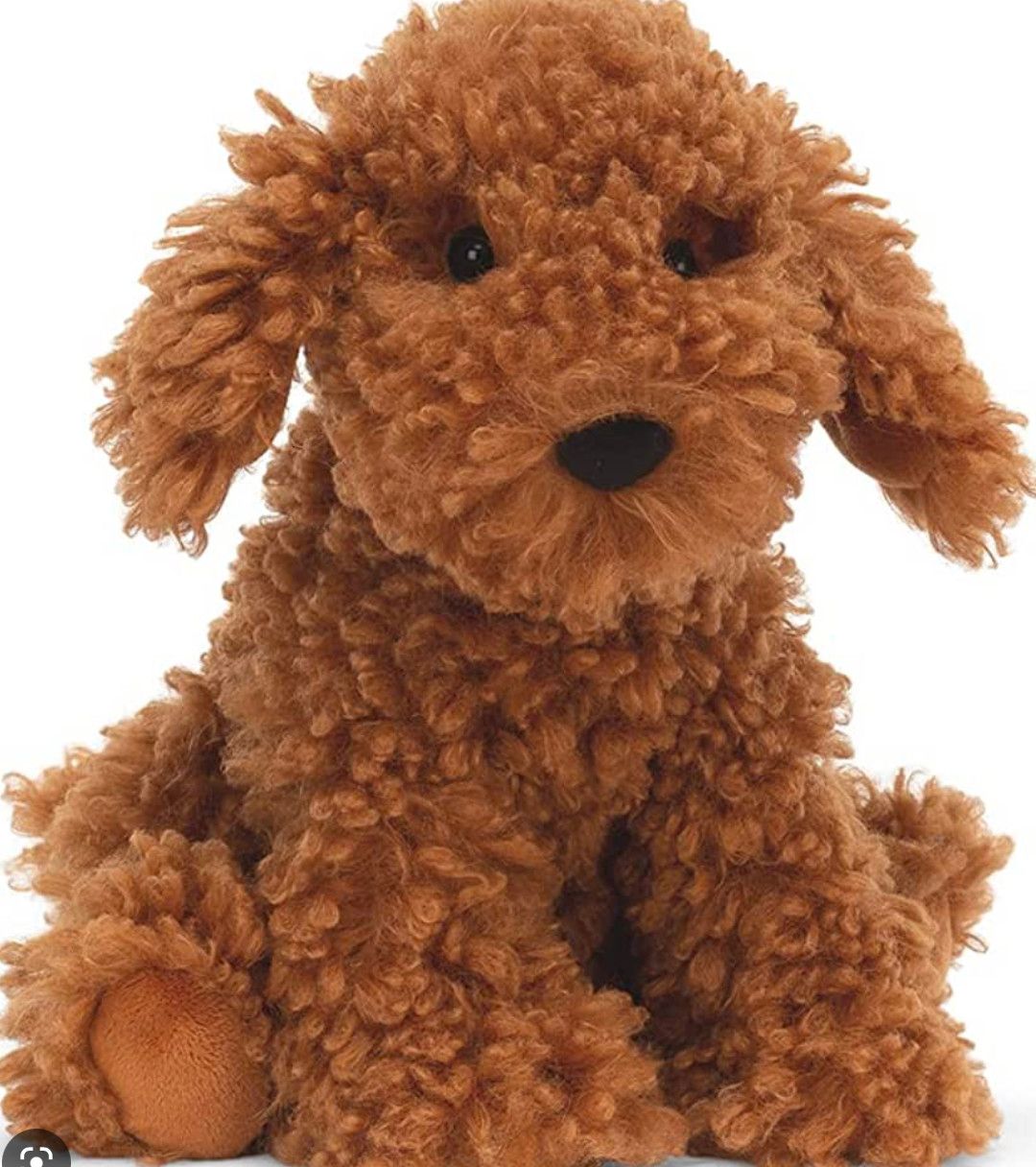 Cooper Doodle Dog