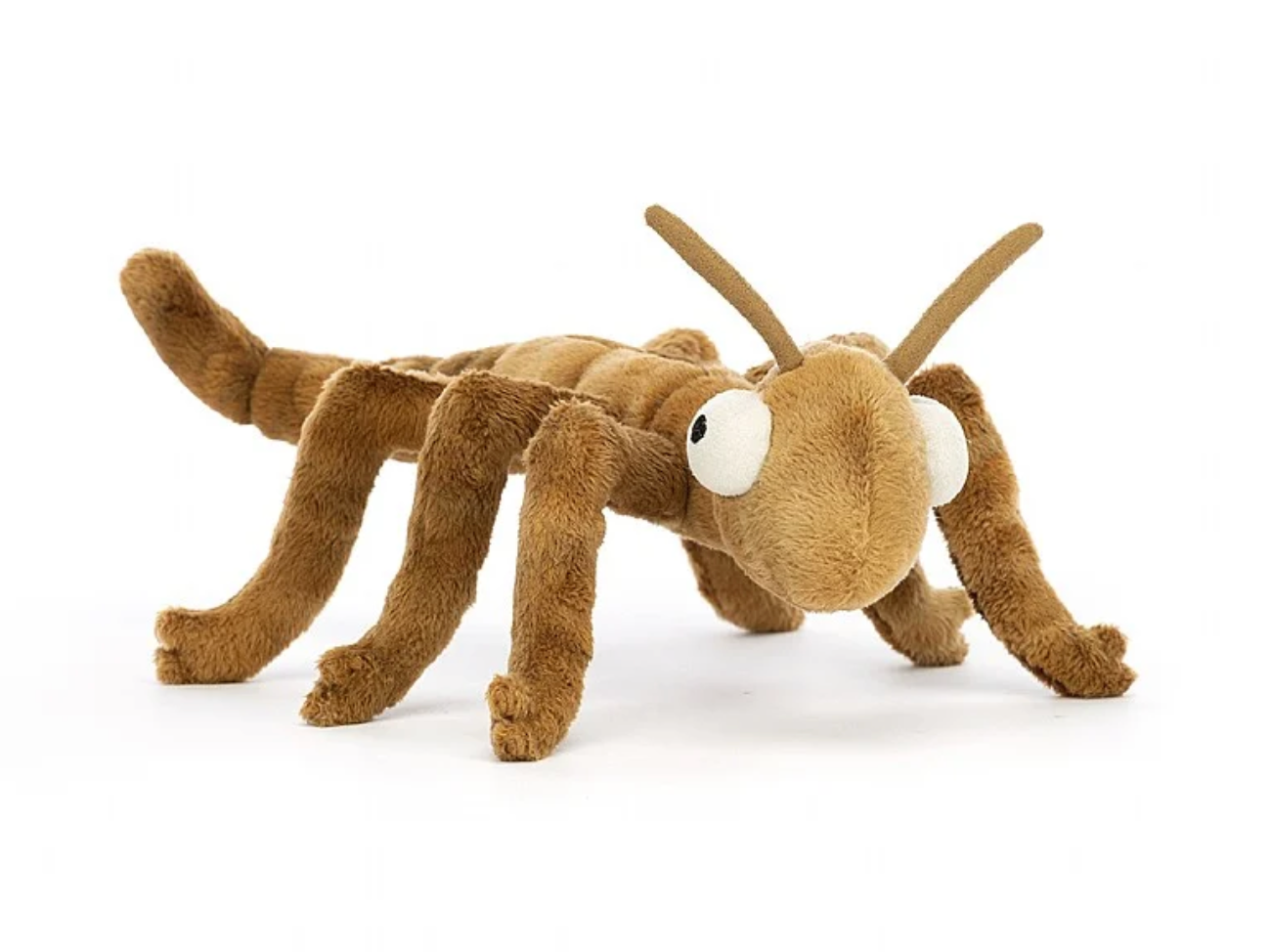 Stanley Stick Insect