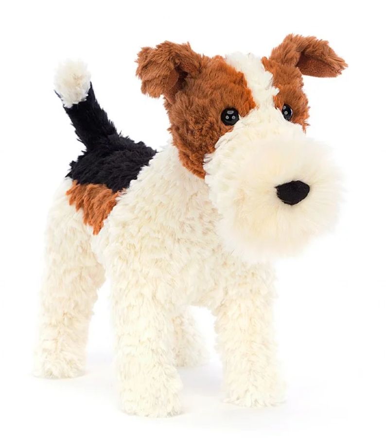 Hector Fox Terrier