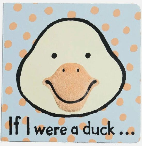 If I Were A Duck Book