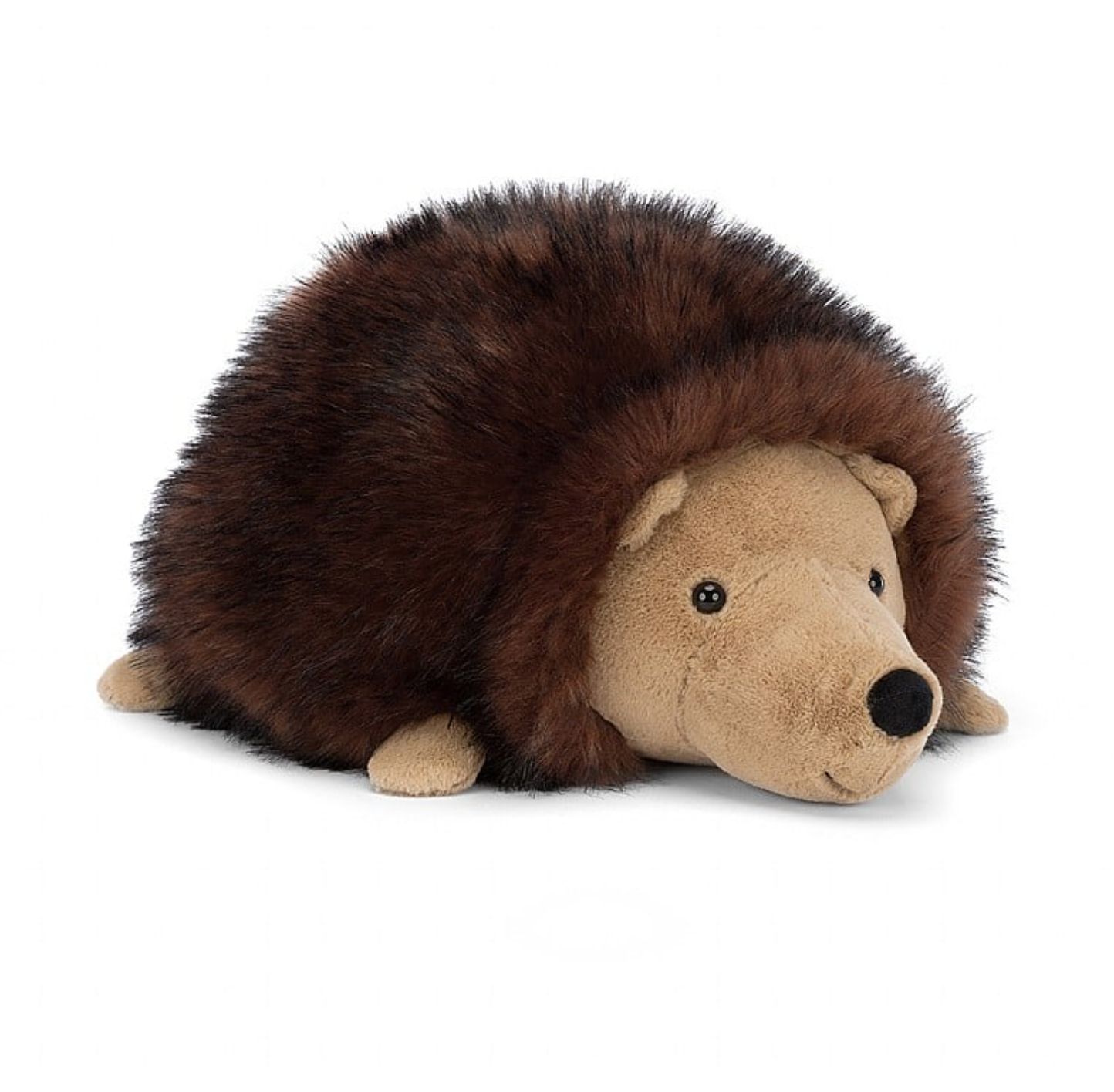 Hamish Hedgehog