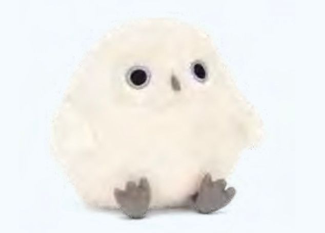Snowy Owling