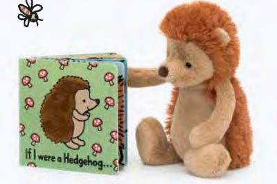 Jellycat If I Were a Hedgehog board book available at our boutique in Poughkeepsie, NY