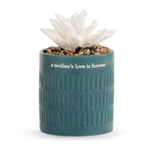 Succulent Oil Diffuser Mothers Love