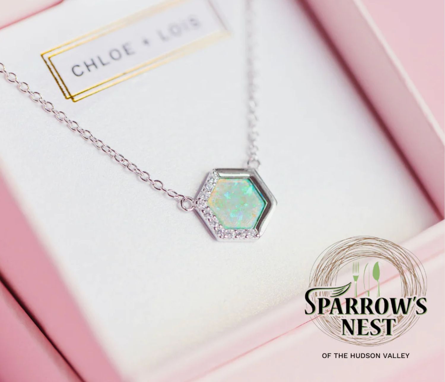 Sparrow&#39;s Nest Stardust Necklace Silver