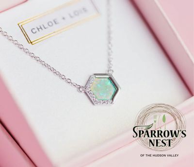 Sparrow&#39;s Nest Stardust Necklace Silver