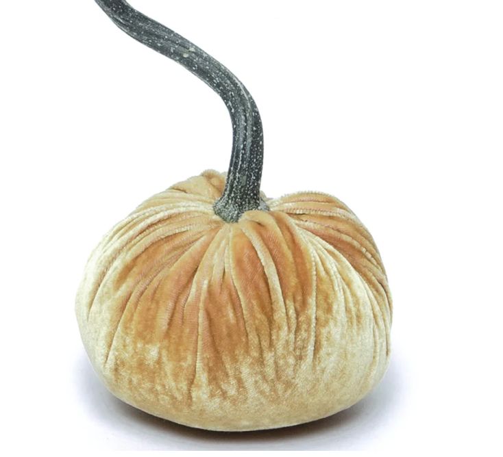 10&quot; Velvet Pumpkin Champagne