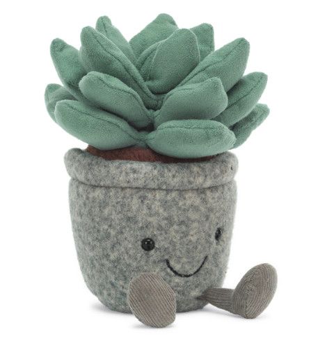 Silly Succulent Azulita