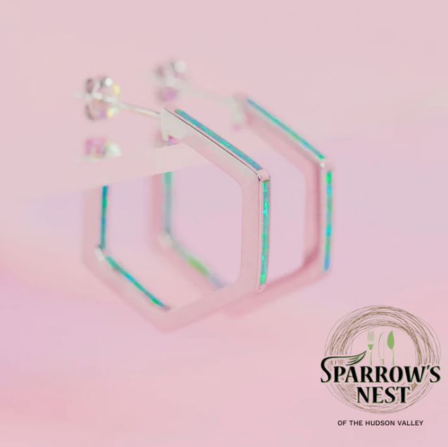 Sparrow&#39;s Nest Stardust Hoops Silver