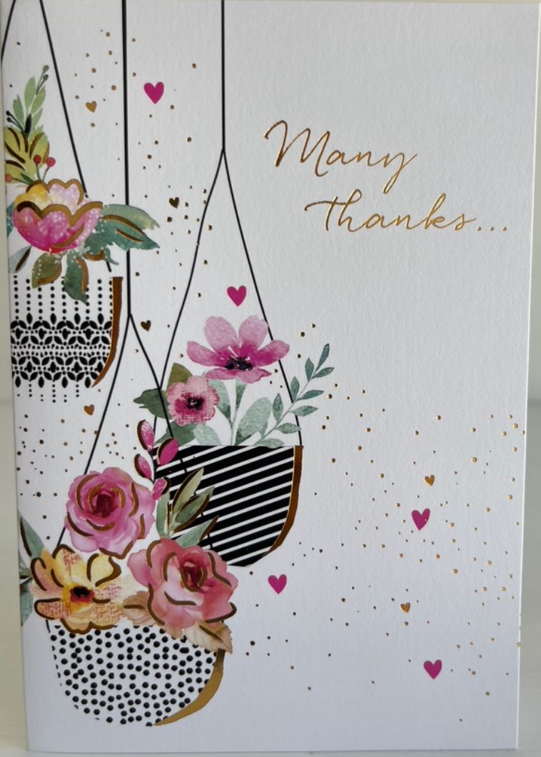 Many Thanks...
