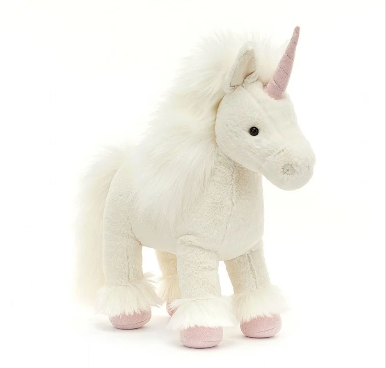 Isadora Unicorn