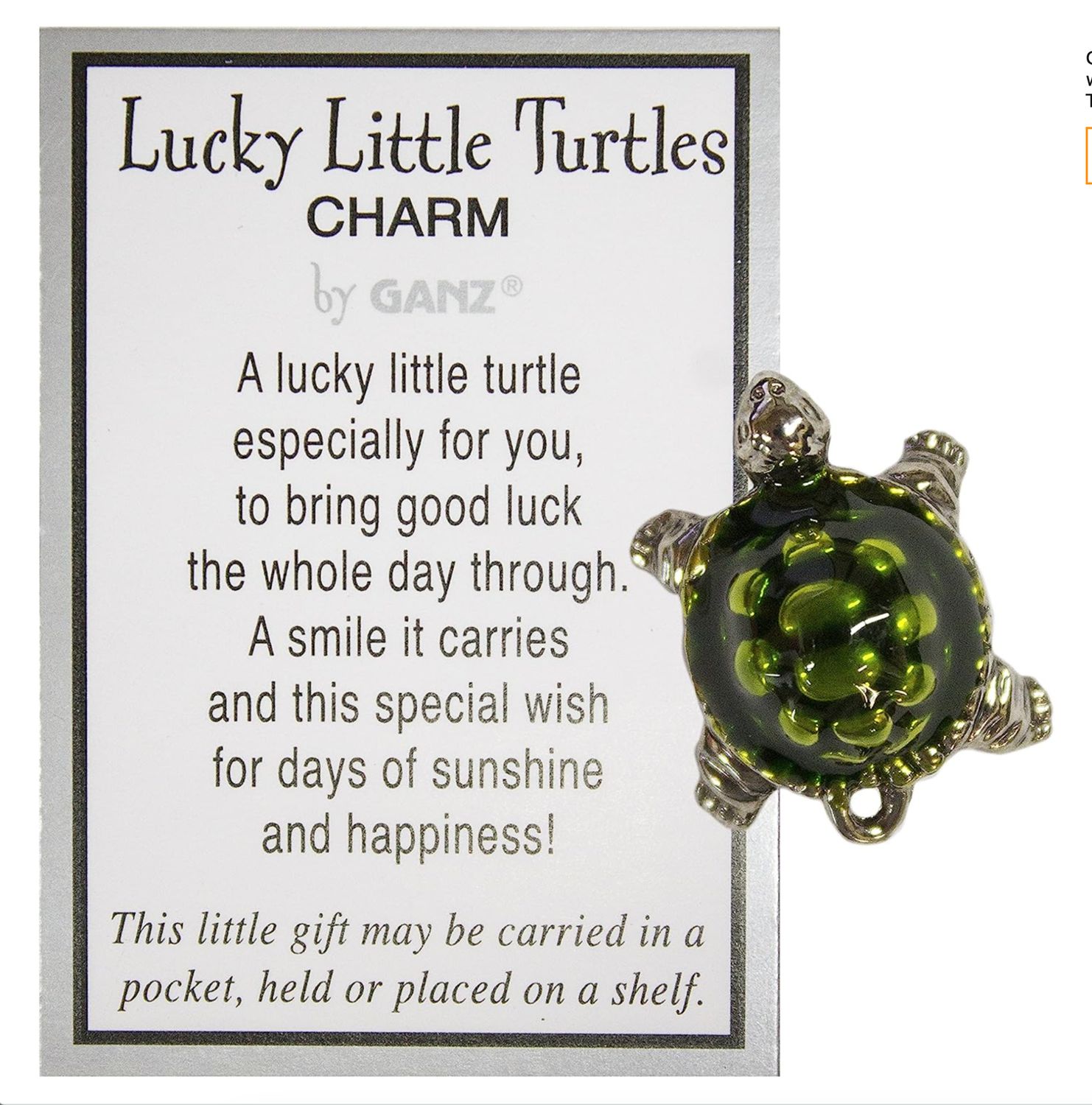 Lucky Little Turtle Charms