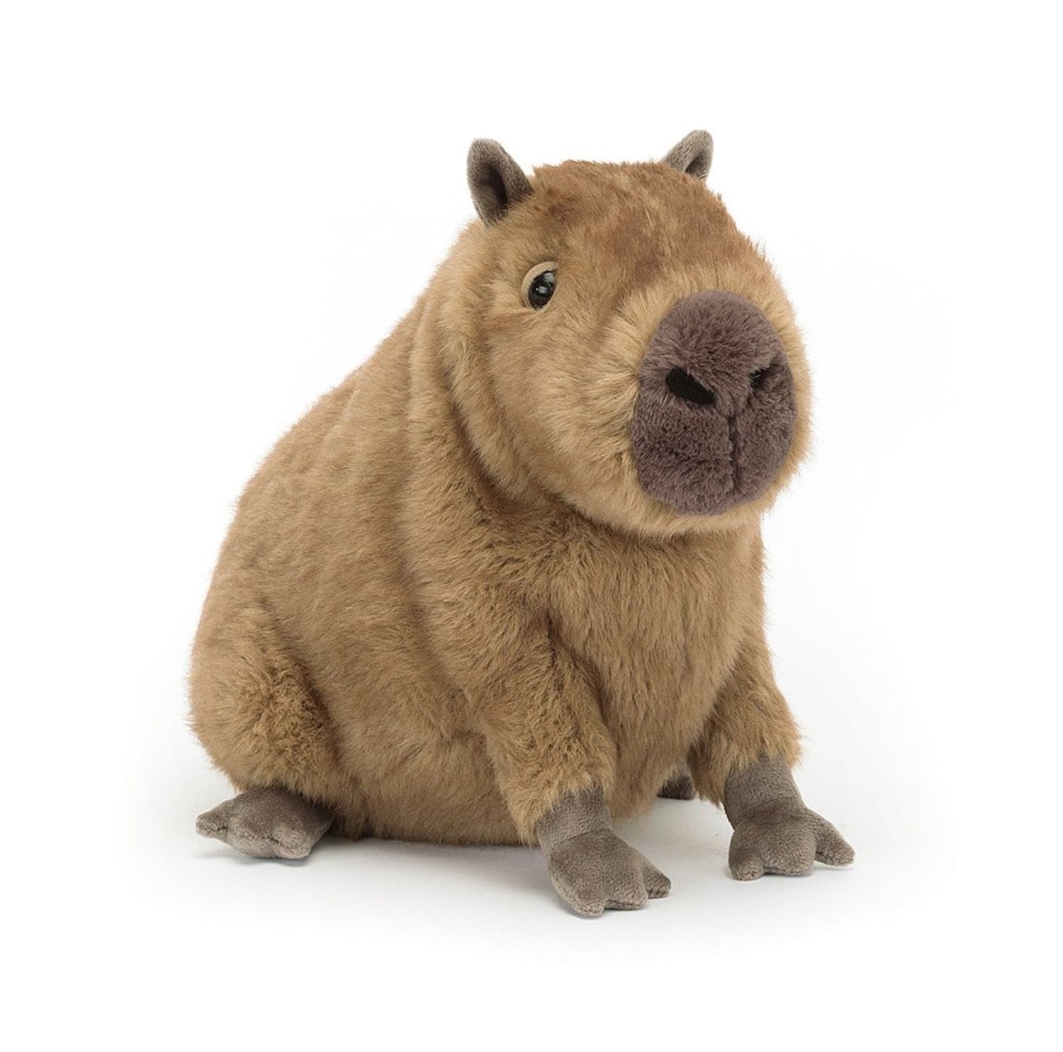 Clyde Capybara