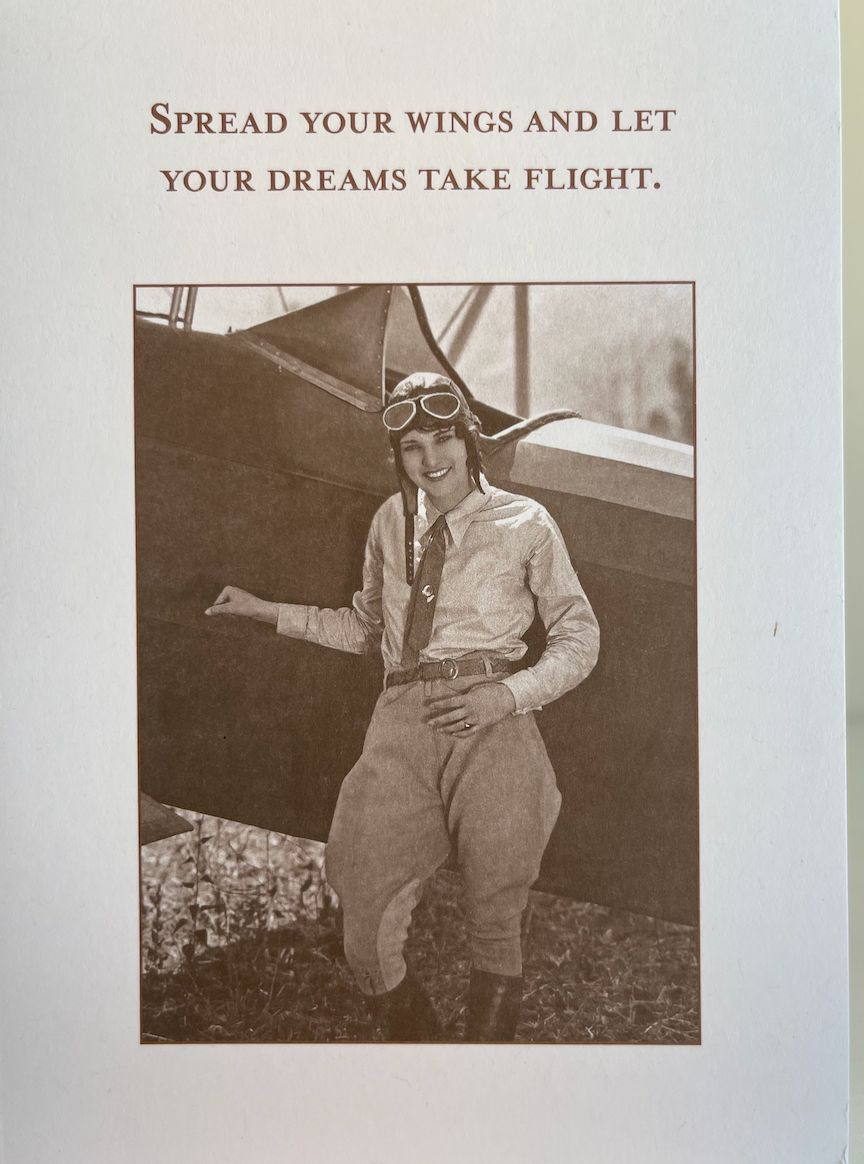 Spread Your Wings And Let Your Dreams Take Flight