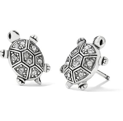 Fortune Turtles Mini Post Earrings