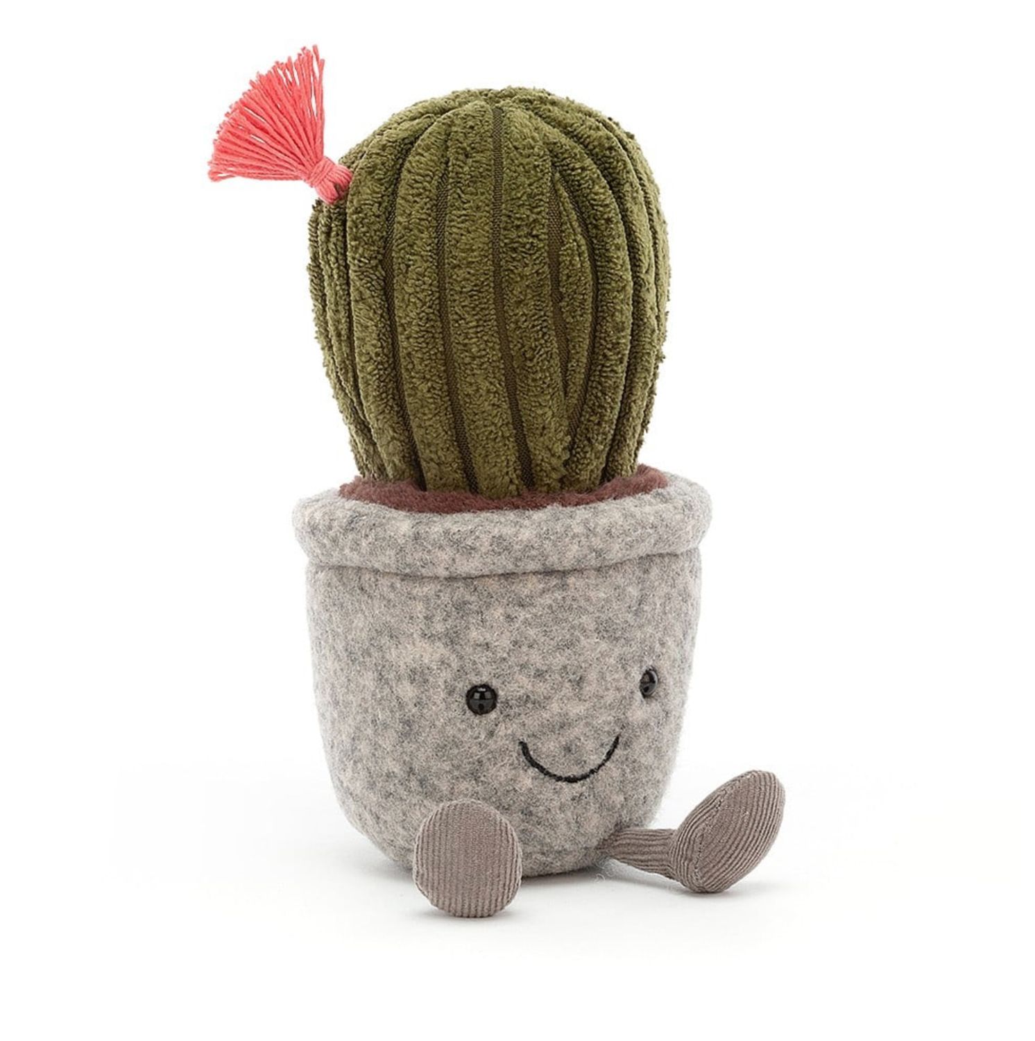 Silly Succulent Barrel Cactus