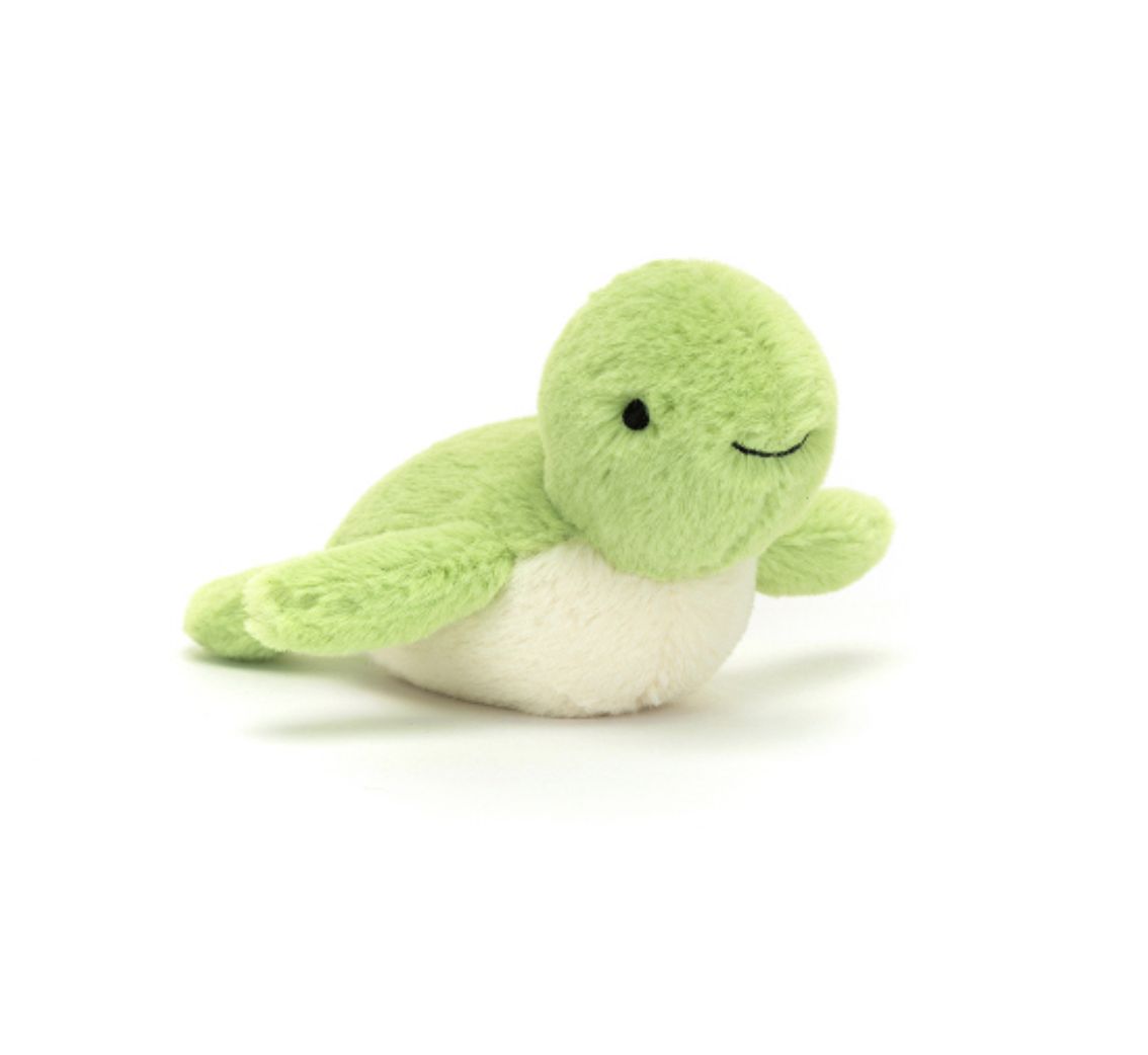 Fluffy Turtle