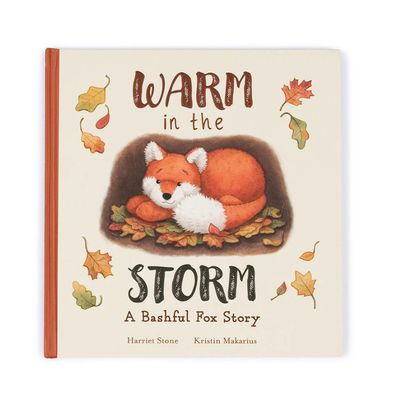 Warm in the Storm Book
