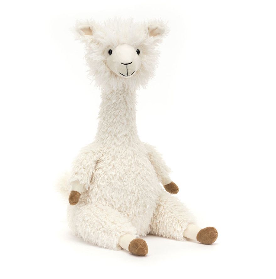 Alonso Alpaca