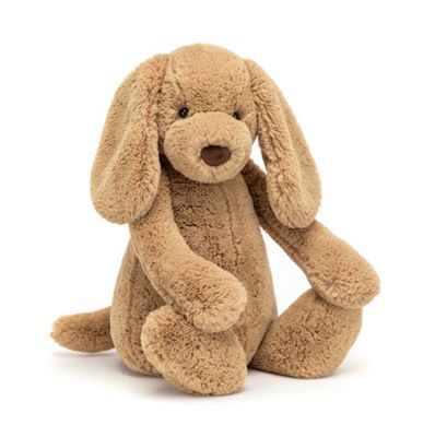 Bashful Toffee Puppy