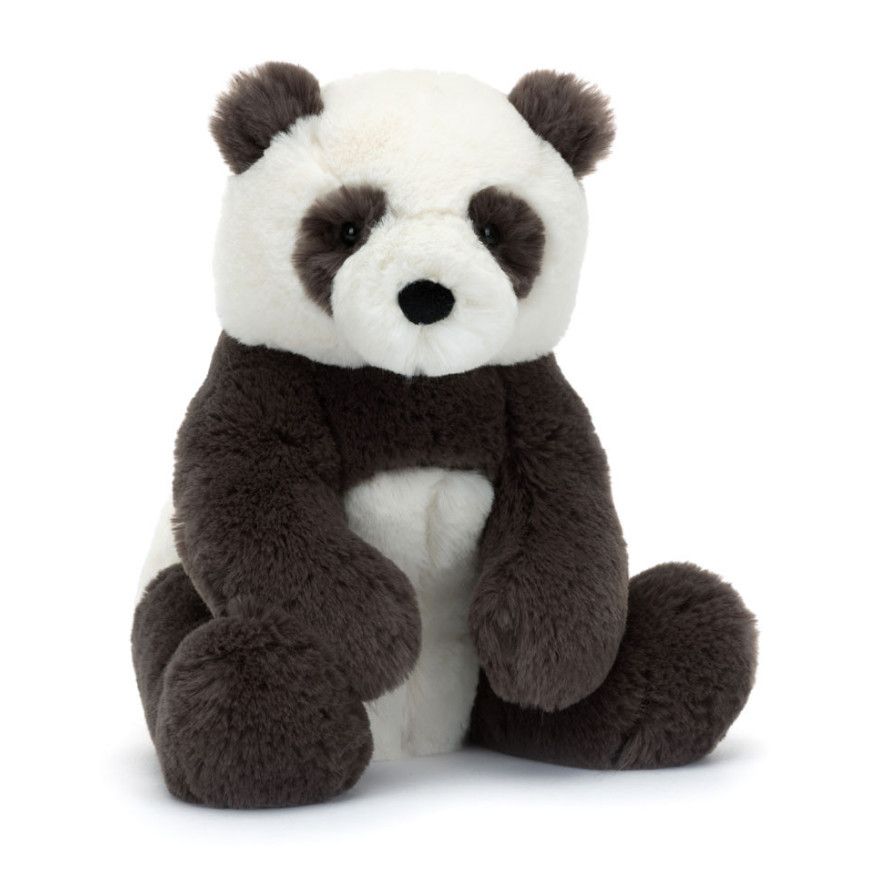 Harry Panda Cub